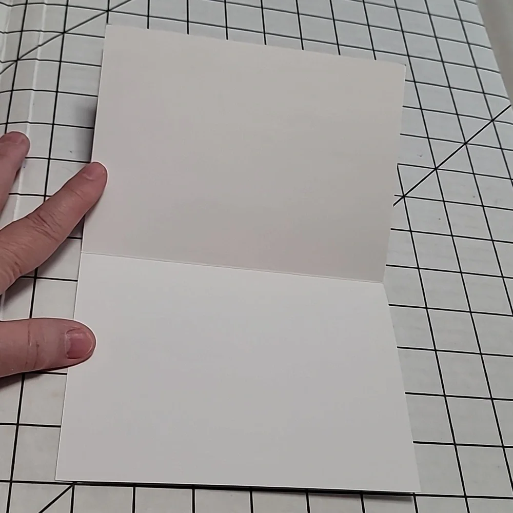 Sea Otters Note Card w‎ Envelope NIP
